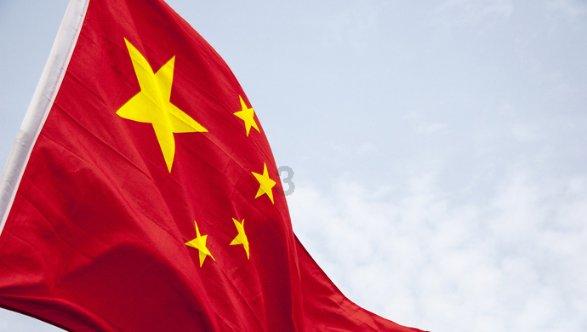 沙皮狗逃离
